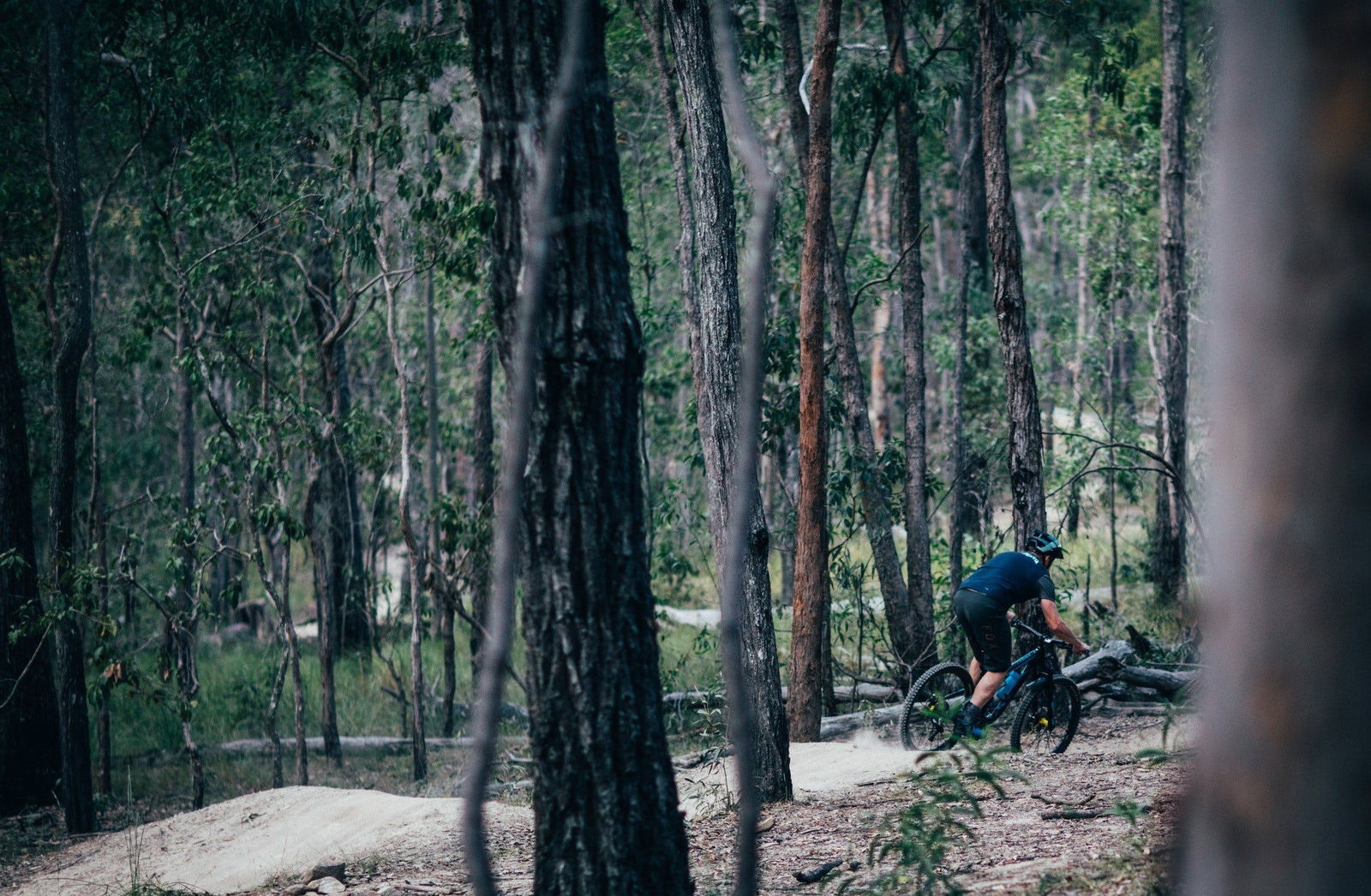 Wongawallan QLD Tourism Caloundra