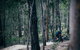 Old Tambo Downhill Mountain Bike Track - thumb 0