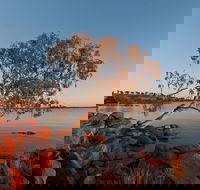 Peery Lake - Tourism Caloundra