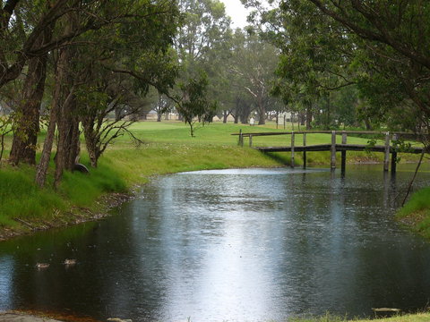 Pinjarra Golf Club - Tourism Caloundra 2