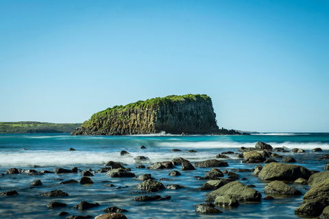 Rangoon Island, Minnamurra - Tourism Caloundra 0