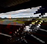 Reed Beds Bird Hide Boardwalk - Tourism Caloundra