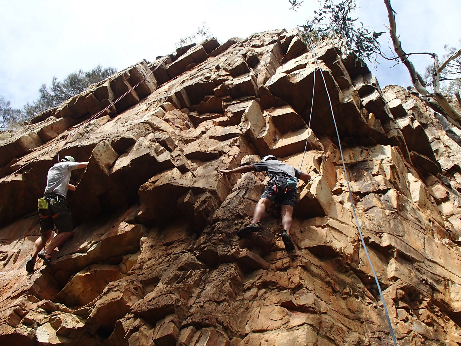 Woodforde SA Tourism Caloundra