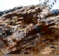 Rock Climbing in Morialta - Tourism Caloundra
