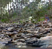 Rocksberg Park Heritage Reserve - Tourism Caloundra
