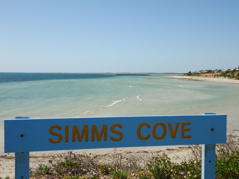 Simms Cove Lookout And Beach, Moonta Bay - Tourism Caloundra 0