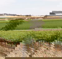 Smidge Wines Tasting Room - Tourism Caloundra