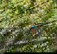 Tamborine Mountain - Tourism Caloundra