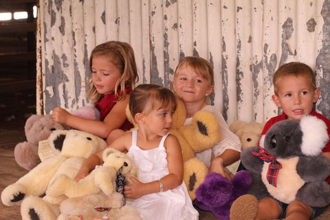 Tambo Teddies - Tourism Caloundra 0