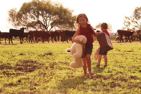 Tambo Teddies - Tourism Caloundra 1