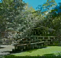 Terania Creek Picnic Area - Tourism Caloundra