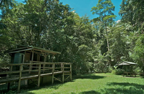 Terania Creek Picnic Area - Tourism Caloundra 0
