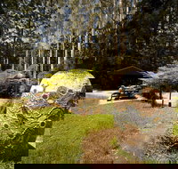 The Pines Picnic Area - Tourism Caloundra