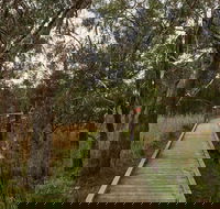The Briars Park Walking Trails - Tourism Caloundra