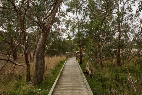 The Briars Park Walking Trails - Tourism Caloundra 0