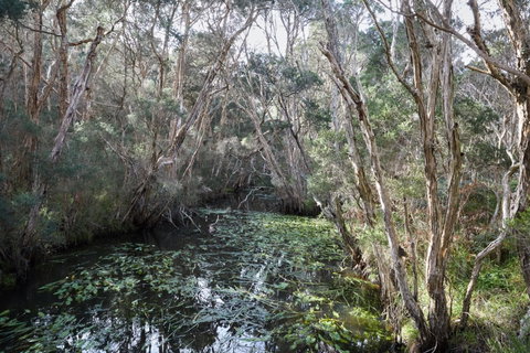 The Briars Park Walking Trails - Tourism Caloundra 2