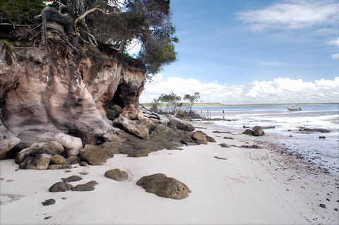 Tinnanbar - Tourism Caloundra 0