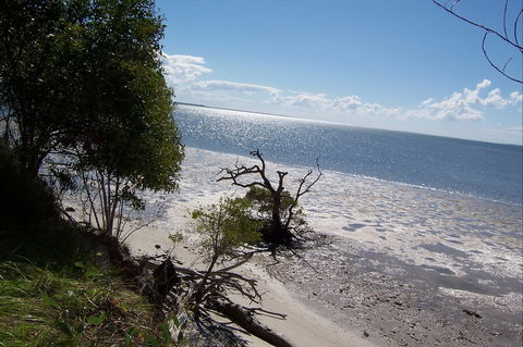 Tinnanbar - Tourism Caloundra 1