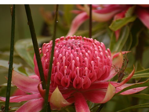 Vortex Healing Centre - Tourism Caloundra 2