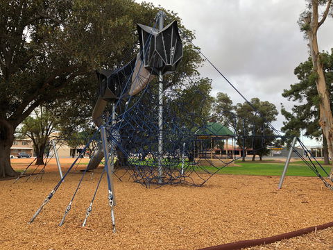 Walk In The Trees, Kadina - Tourism Caloundra 1