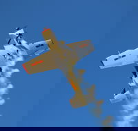 Warbird Aerial Adventures - Tourism Caloundra