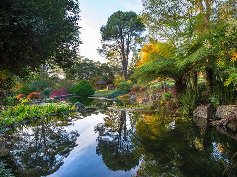 Windyridge Garden Mount Wilson - Tourism Caloundra 1