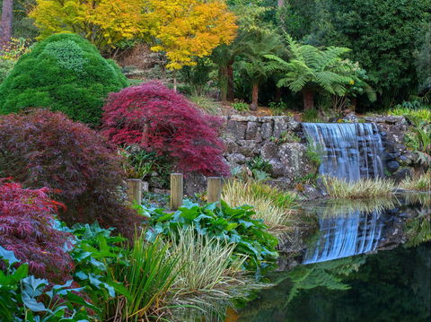 Windyridge Garden Mount Wilson - Tourism Caloundra 2