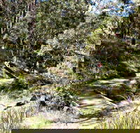 Wollomombi Walking Track - Tourism Caloundra