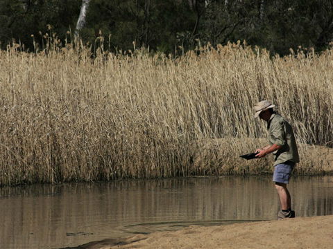 Wooldridge Recreation And Fossicking Reserve - Tourism Caloundra 2