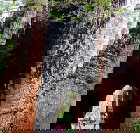 Ancient Empire Walk Valley of the Giants - Tourism Caloundra