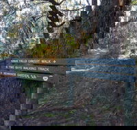 Arthurs Seat to Kings Falls Walk - Tourism Caloundra