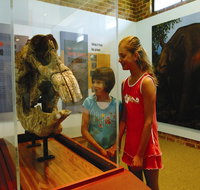 Australian Museum Diprotodon Exhibition Closed for Building Repair July August - Tourism Caloundra