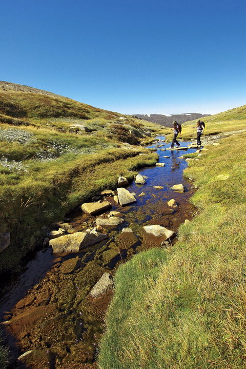Australian Alps Walking Track - Tourism Caloundra 0