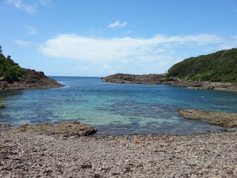 Bass Point Reserve - Tourism Caloundra 0