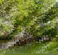 Berry Springs Nature Park - Tourism Caloundra