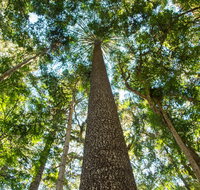 Big Sky National Parks - Tourism Caloundra