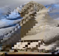 Big Merino - Tourism Caloundra