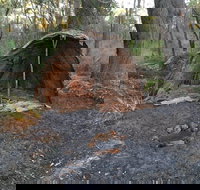 Bindjareb Cultural Park - Tourism Caloundra