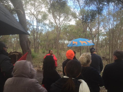Bindjareb Cultural Park - Tourism Caloundra 2