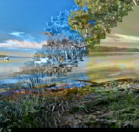 Black Oaks Picnic Area - Tourism Caloundra