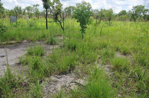 Brocks Creek Chinatown And Temple Site - Tourism Caloundra 2