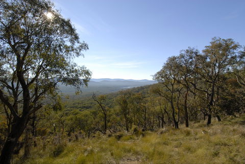 Bunyip State Park - Tourism Caloundra 0