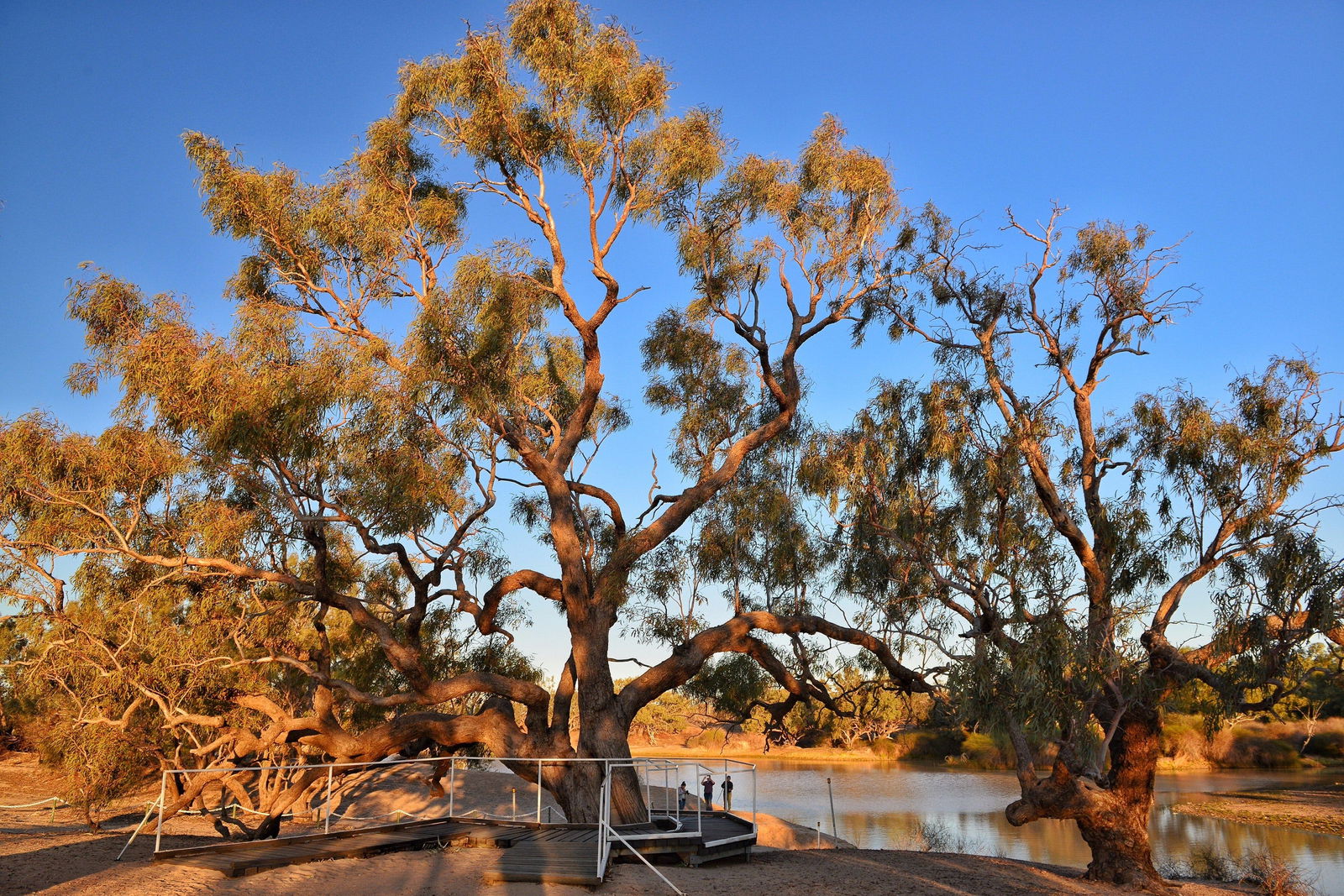 Durham Downs QLD Tourism Caloundra