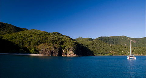 Butterfly Bay - Hook Island - Tourism Caloundra 0