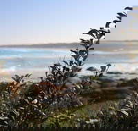 Cape Conran Coastal Park - Tourism Caloundra