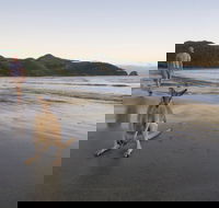 Cape Hillsborough National Park - Tourism Caloundra
