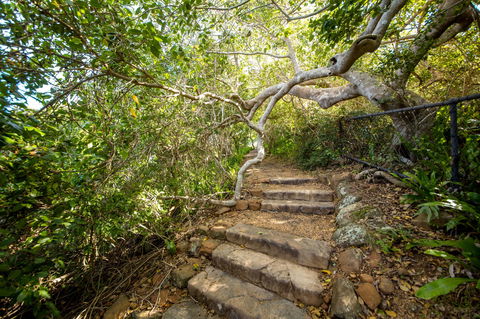 Capricorn Coast National Park - Tourism Caloundra 2