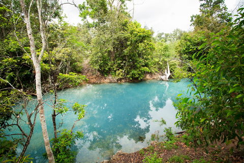 Cardwell Spa Pool - Tourism Caloundra 2
