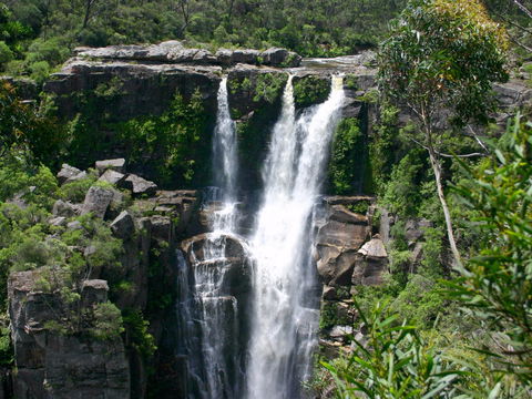 Carrington Falls - Tourism Caloundra 0
