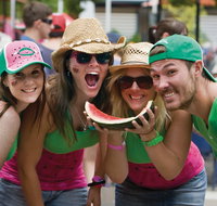 Chinchilla - Tourism Caloundra